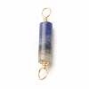Natural Sodalite Connector Charms PALLOY-JF01454-03-3