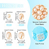 55Pcs 4 Styles Natural Cultured Freshwater Pearl Beads PEAR-TA0001-18-5