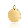 Ion Plating(IP) 304 Stainless Steel Pendants STAS-I311-32G-G-1