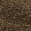 MIYUKI Delica Beads SEED-X0054-DB0022L-3