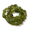 Raw Rough Natural Olive Quartz Beads Strands G-I283-G07-01-2