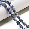 Natural Blue Spot Jasper Beads Strands G-B106-A15-01-2