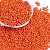 Baking Paint Glass Seed Beads X1-SEED-K010-A10-1