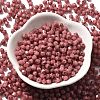 Picasso Baking Paint Glass Seed Beads X1-SEED-A032-02A-06-2