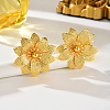 Iron Stud Earrings for Women RH0706-3-1