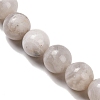 Round Natural Crazy Lace Agate Beaded Strands G-L374-01-12mm-4