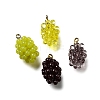 Grape Brass Acrylic Pendants OACR-R006-05G-01-1