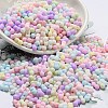 Macaron Color Opaque Frosted Glass Seed Beads X-SEED-K009-12B-01-2