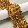 Natural Amber Beads Strands G-L095-L01-01-1