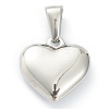 304 Stainless Steel Pendants STAS-P278-01K-P-2