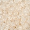 Transparent Colours Glass Seed Beads X1-SEED-P008-01B-06-2