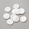 Natural Shell Disc Cabochons LS-DIY-WH0888-873-1