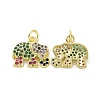 Brass Micro Pave Colorful Cubic Zirconia Charms KK-E068-VF108-1