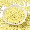 6/0 Opaque Baking Paint Glass Seed Beads X1-SEED-M012-02A-19-2
