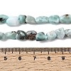 Natural Larimar Beads Strands G-P601-A20-02-5