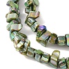 Natural Freshwater Shell Beads Strands BSHE-H018-07C-3