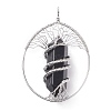 Natural Obsidian Big Pendants G-F702-02P-C-2