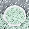 Opaque Glass Seed Beads SEED-N012-09A-05-2