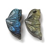 Natural Labradorite Carved Cabochons G-C152-03B-1