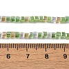 Electroplate Glass Beads Strands EGLA-F121-FR-B06-4