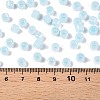 Glass Seed Beads SEED-T008-01F-5