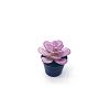 Mini Resin Artificial Succulent Plant Ornaments MIMO-PW0001-191H-1