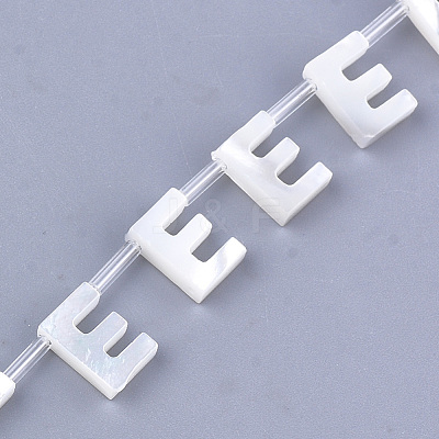 Sea Shell Beads X-SHEL-T012-60E-1