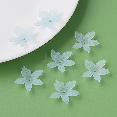 Transparent Acrylic Beads MACR-S373-127-D02-1