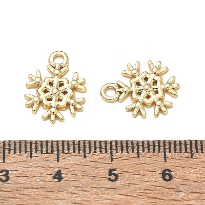 304 Stainless Steel Charms SA-CBA3037-12G-1