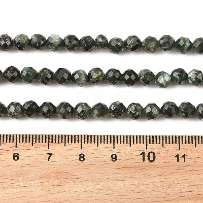 Natural Seraphinite Beads Strands G-K376-A02-5mm-1