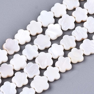 Natural Freshwater Shell Beads Strands X-SHEL-S276-111-1