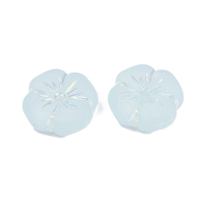 Frosted Transparent Acrylic Beads X1-OACR-P029-19B-06-1