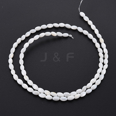 Natural Freshwater Shell Beads Strands X-SHEL-N027-08A-1