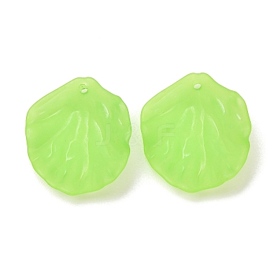 Frosted Acrylic Pendants AC-CBA1E6C-01A-1