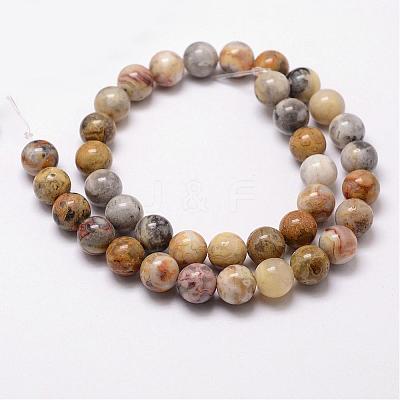 Natural Crazy Lace Agate Beads Strands G-D840-70-10mm-1