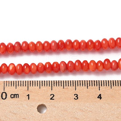 Natural Freshwater Shell Beads Strands SSHEL-C013-08A-1
