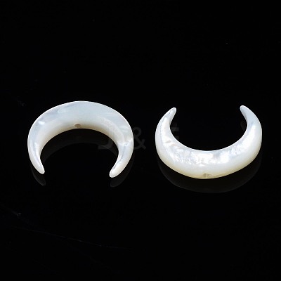Natural White Shell Mother of Pearl Shell Beads SSHEL-T012-07-1