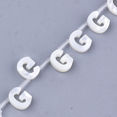 Natural Sea Shell Beads SHEL-T012-60G-1