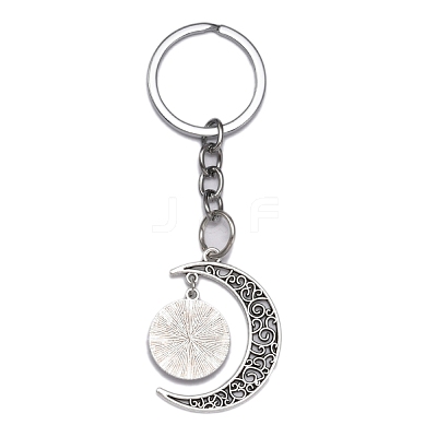 Alloy Pendant Keychains KEYC-WH0027-52-1