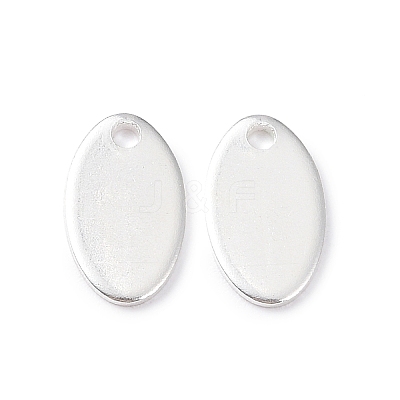 304 Stainless Steel Charms STAS-L234-065A-S-1