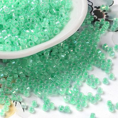 Glass Seed Beads SEED-S042-13A-11-1