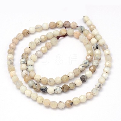 Faceted Round Natural White African Opal Beads Strands G-P114-12-4mm-1