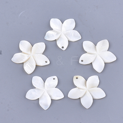 Carved Freshwater Shell Pendants X-SHEL-T012-54-1