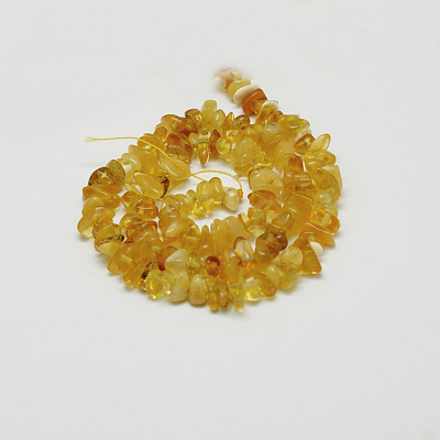 Natural Amber Chip Beads Strands G-E333-01A-1