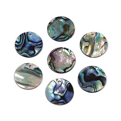 Natural Paua Shell Disc Charms SSHEL-N040-19B-1
