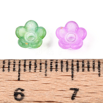 Frosted Transparent Acrylic Beads OACR-N137-72M-1