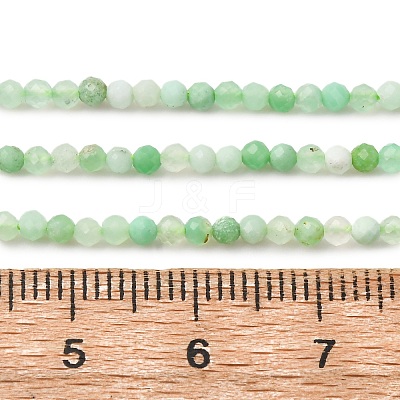 Natural Chrysoprase Beads Strands G-C196-A02-2mm-1