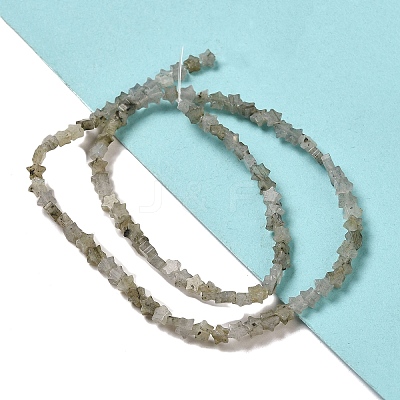 Natural Labradorite Beads Strands G-G085-B25-01-1