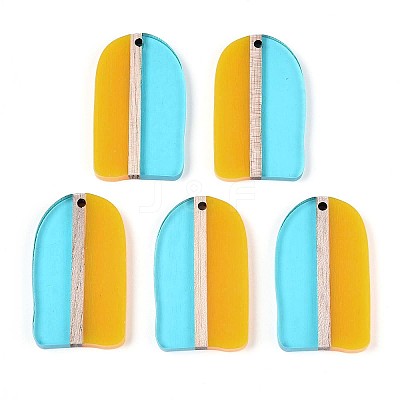 Transaprent Resin & Wood Pendants RESI-T057-81-1