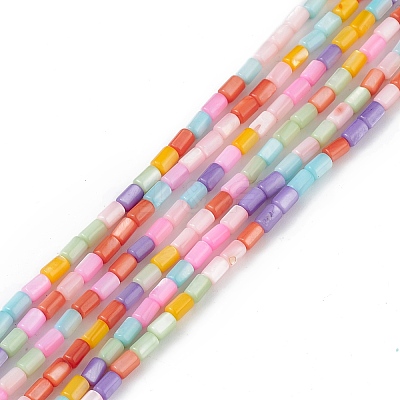 Natural Freshwater Shell Dyed Beads Strands SHEL-M018-12-13-1